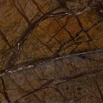 Forest Brown Polished marble